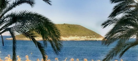 4 bedrooms Apartment in Magalluf, Spain No. 14614 16