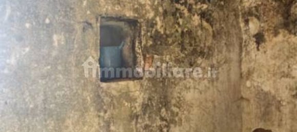 قطعة أرض في Pantelleria, Italy 8750متر مربع رقم 268506 3