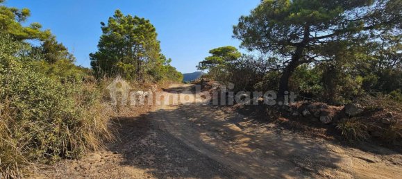 قطعة أرض في Pantelleria, Italy 8750متر مربع رقم 268506 8