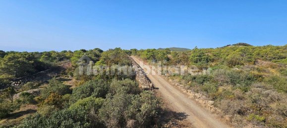 قطعة أرض في Pantelleria, Italy 8750متر مربع رقم 268506 5