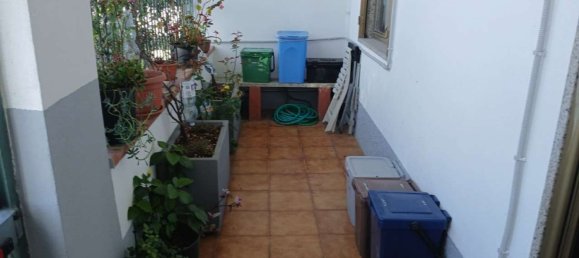 5 rooms Apartment in Carrara, Italy No. 275575 12