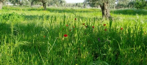 Terreno em Calabria, Italy 600 m² N.º 49 4