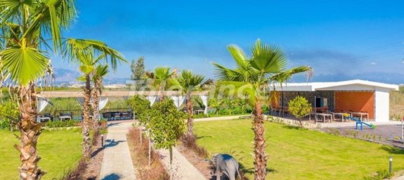 Apartment 1+1 in Belek, Turkey No. 32404 4