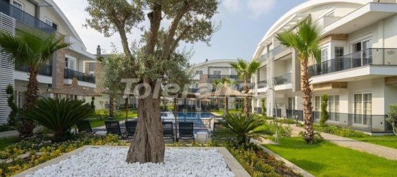 Apartment 1+1 in Belek, Turkey No. 32404 6