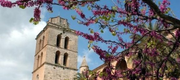 Terreno en Muro, Spain 1082 m² No. 92199 17