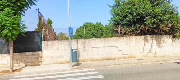 Terreno en Muro, Spain 1082 m² No. 92199 4