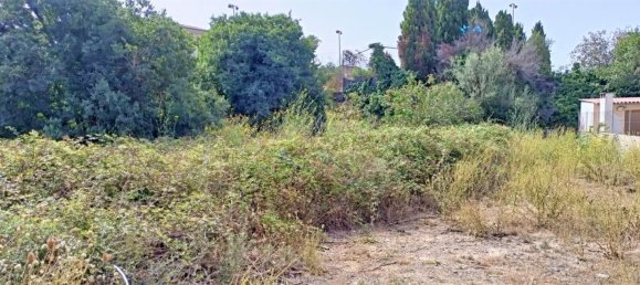 Terreno en Muro, Spain 1082 m² No. 92199 10