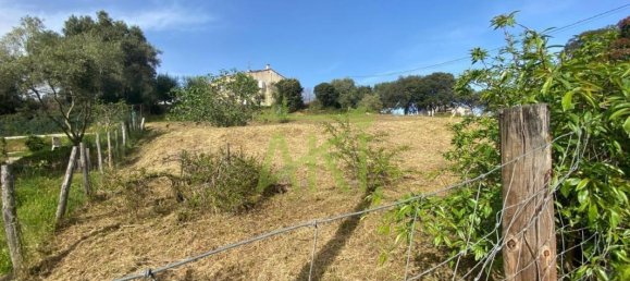 Terreno em Bastelicaccia, France N.º 72670 8