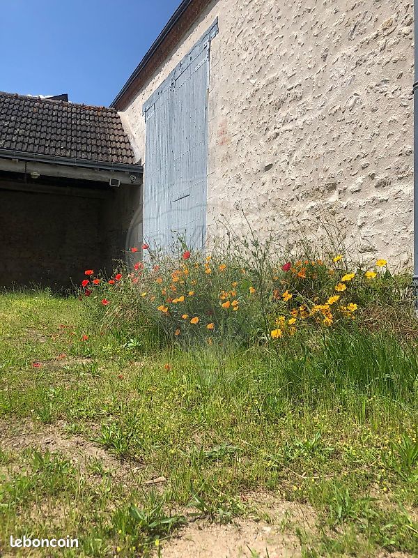 1 bedroom House in Mareau-aux-Pres, France No. 83539