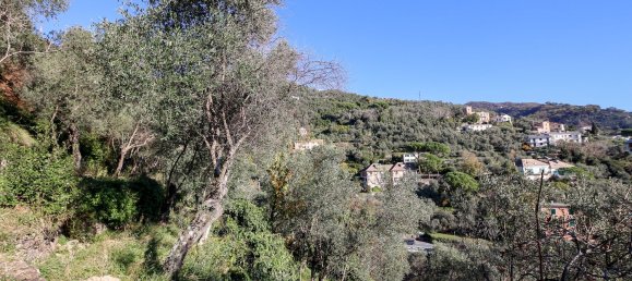 6غرفة فيلا في Zoagli, Italy رقم 63399 38