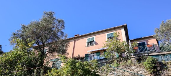 6غرفة فيلا في Zoagli, Italy رقم 63399 36