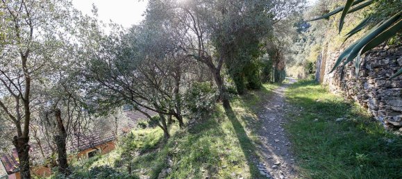 6غرفة فيلا في Zoagli, Italy رقم 63399 26