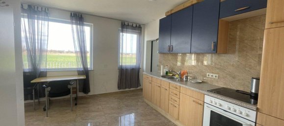 Entrepôt à Gerasdorf bei Wien, Austria 1100m² No. 177964 5