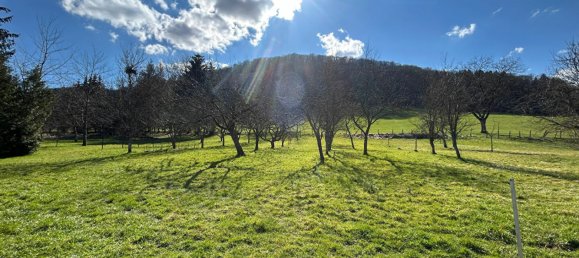 5 غرف نوم منزل في Doubs, France رقم 48458 8