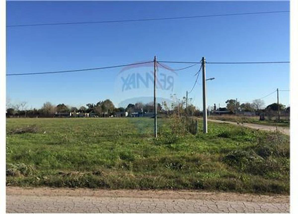  Land in Campo Creado, Argentina No. 40220