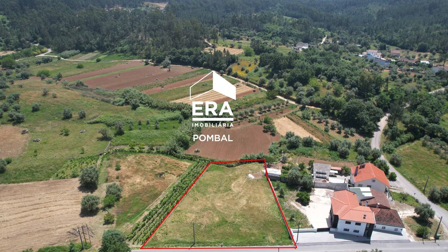  Land in Pombal, Portugal No. 239336
