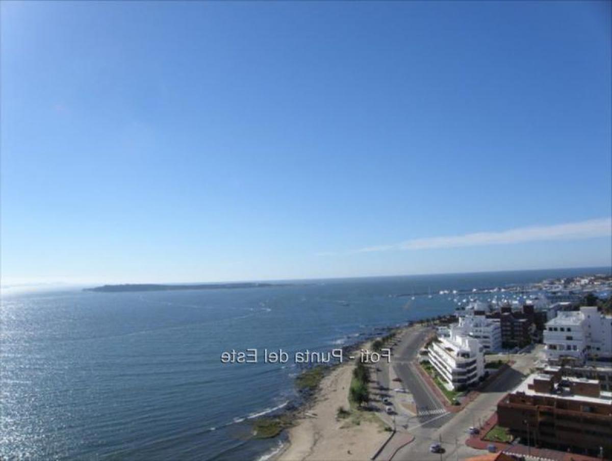 3 Schlafzimmer Wohnung in Punta del Este, Uruguay, Nr. 11378