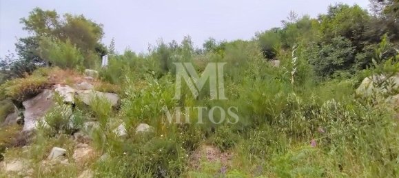 Земельный участок 2200м² в Каминья, Португалия № 82929 3