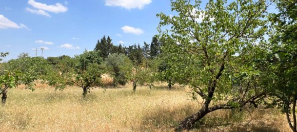 Casa de 1 dormitorio en Matera, Italy No. 298105 24