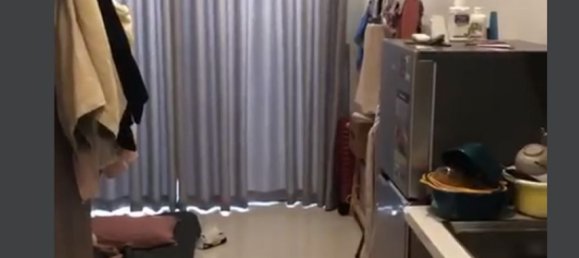 1 room Office in District 8, Vietnam No. 15925 2