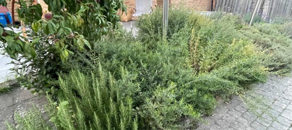 Таунхаус с 5 комнатами в Hildesheim, Германия № 355052 12