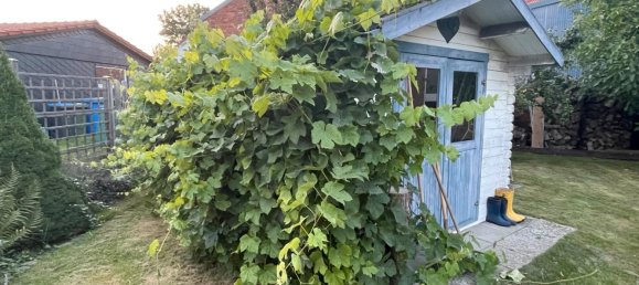 Таунхаус с 5 комнатами в Hildesheim, Германия № 355052 13