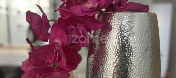 21m² Commercial property in Viana do Castelo, Portugal No. 90730 2