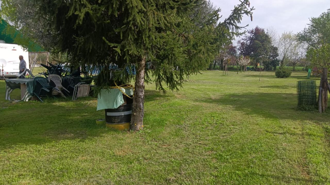 6-salle Maison à Nuvolento, Italy No. 227432