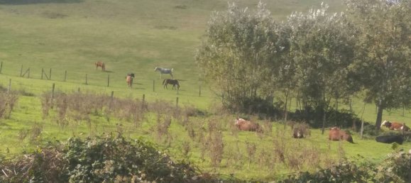 10 rooms House in Casciana Terme Lari, Italy No. 238621 13