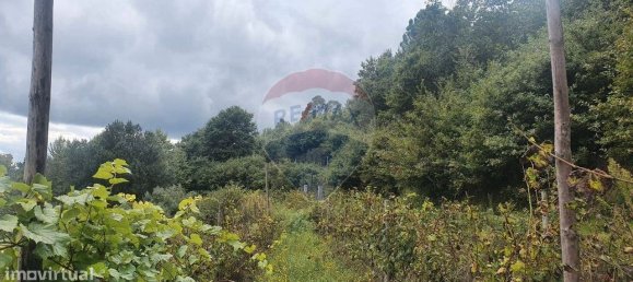 Terreno en Borba de Montanha, Portugal 4260 m² No. 43011 3