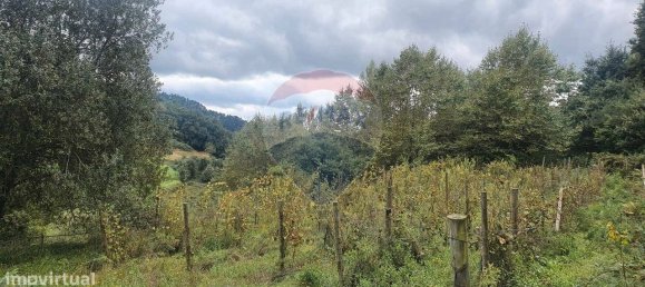Terreno en Borba de Montanha, Portugal 4260 m² No. 43011 4