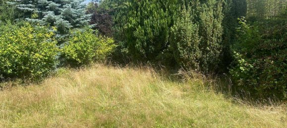 Bungalow de 4 habitaciónes en Uelzen, Germany No. 351855 6