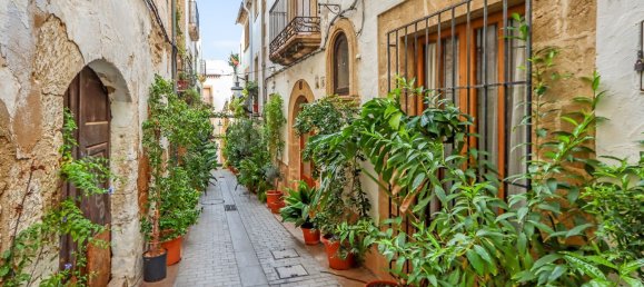  Land in Alicante, Spain No. 160051 25