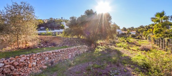  Land in Alicante, Spain No. 160051 2