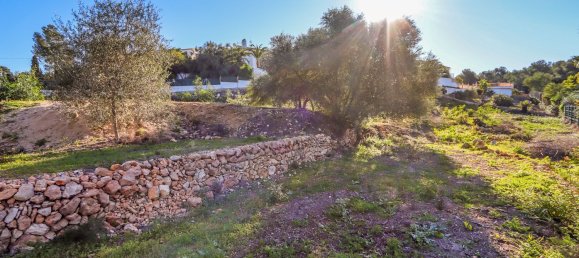  Land in Alicante, Spain No. 160051 19