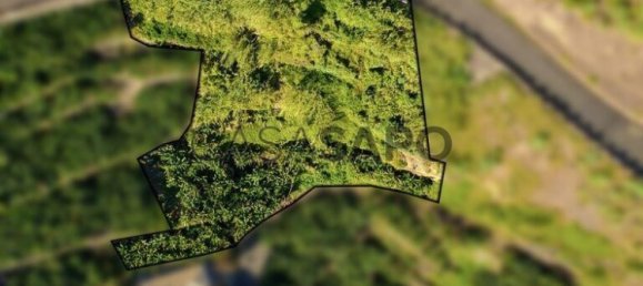 2295m² Land in Calheta, Portugal No. 144783 2