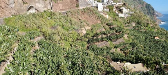 2295m² Land in Calheta, Portugal No. 144783 4