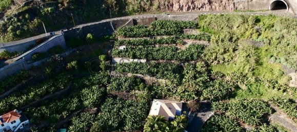 2295m² Land in Calheta, Portugal No. 144783 6