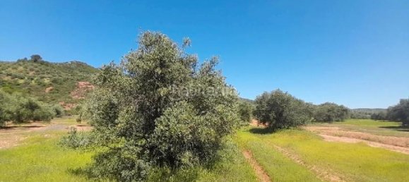 12515m² Land in Andalusia, Spain No. 140280 2