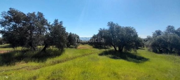 12515m² Land in Andalusia, Spain No. 140280 6