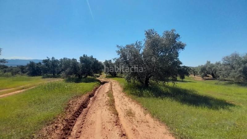 12515m² Land in Andalusia, Spain No. 140280