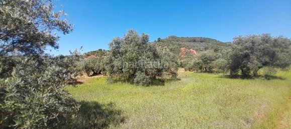 12515m² Land in Andalusia, Spain No. 140280 4