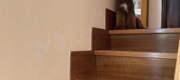 9-Zimmer Villa in Ardea, Italy, Nr. 44902 42