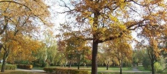 Дом с 5 комнатами в Бранденбург, Германия № 84263 3