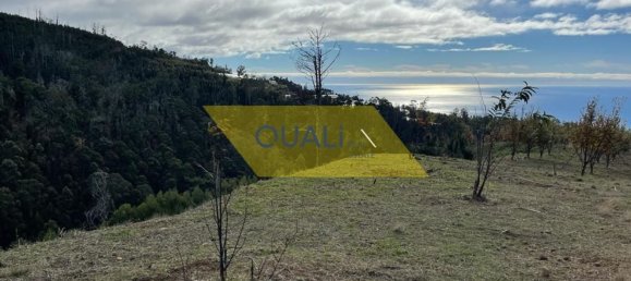 Grundstück in Calheta, Portugal 10000m², Nr. 109557 15