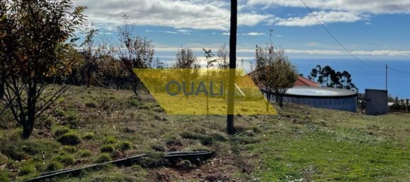 Grundstück in Calheta, Portugal 10000m², Nr. 109557 14