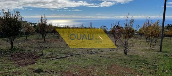 Grundstück in Calheta, Portugal 10000m², Nr. 109557 17