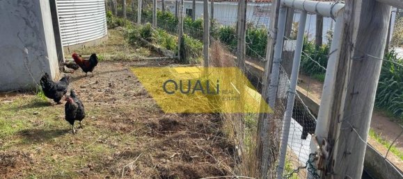 Grundstück in Calheta, Portugal 10000m², Nr. 109557 16