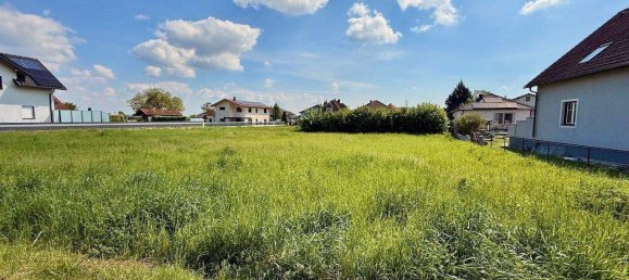  Land in St. Polten, Austria No. 245513 3