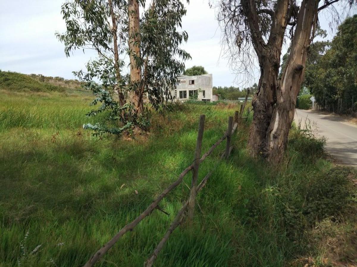  Land in Valparaiso, Chile No. 763